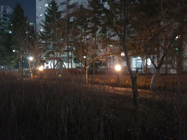 백마, 마두, 강촌공원 확 밝아진다…조도개선공사 착수