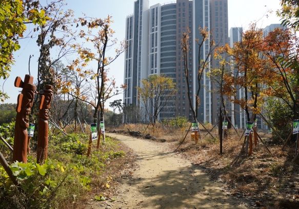 오색둘레길 2코스 석산숲길