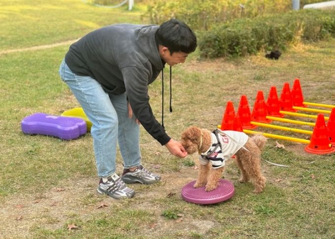 의왕시 반려동물 문화교실 운영 종료