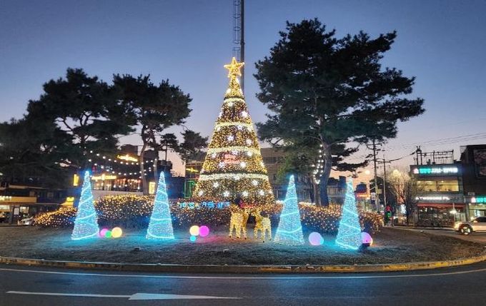 파주시 주요 교차로 대형트리, 따뜻한 연말 분위기 조성