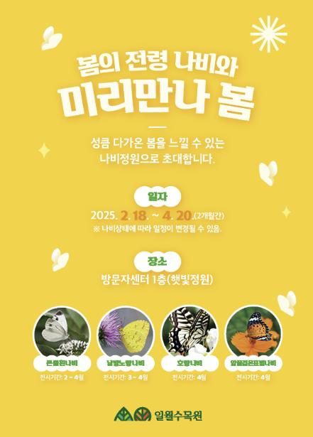 홍보물