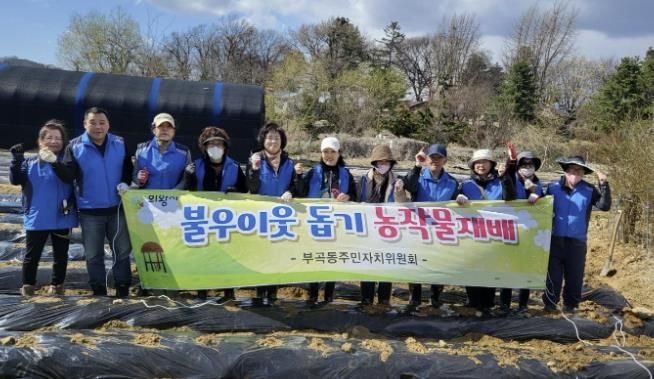 의왕시 부곡동주민자치위원회, 불우이웃 돕기 농작물 재배 불우이웃을 위한 사랑의 감자 심어