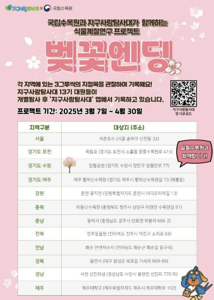 홍보물