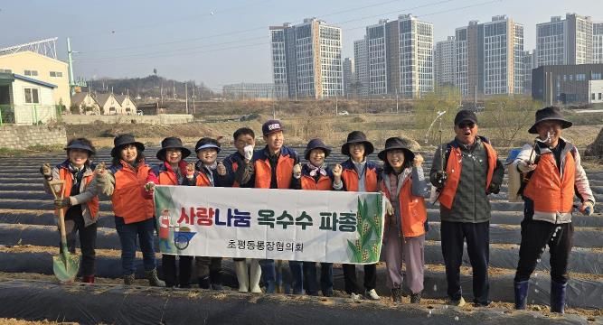 오산시 초평동 통장협의회 이웃사랑나눔 옥수수 파종 봉사